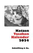 Katzen Taschenkalender 2024